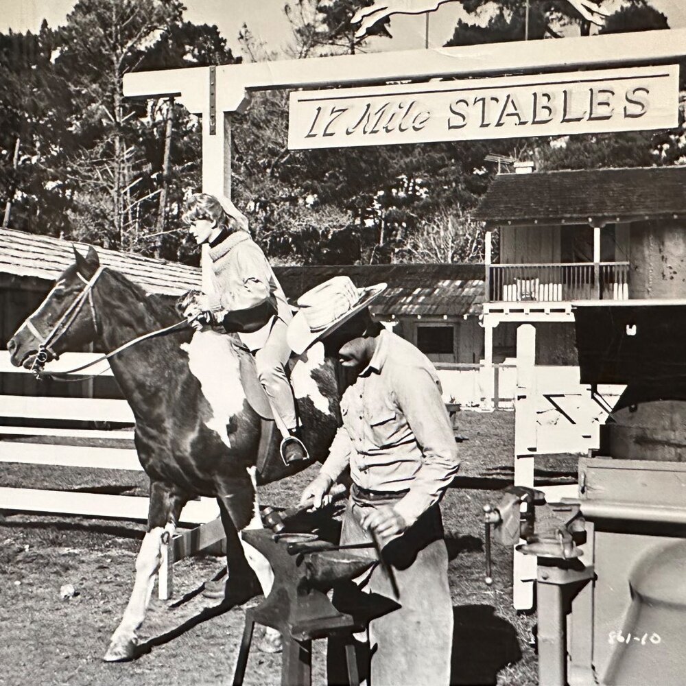 Vintage 1961 Susan Slade Movie Still Connie Stevens 17 Mile Stables Horse Photo